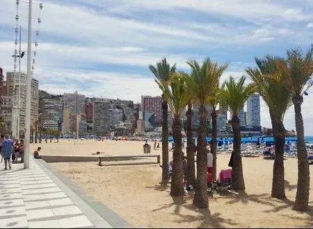 Apartment Domo Levante